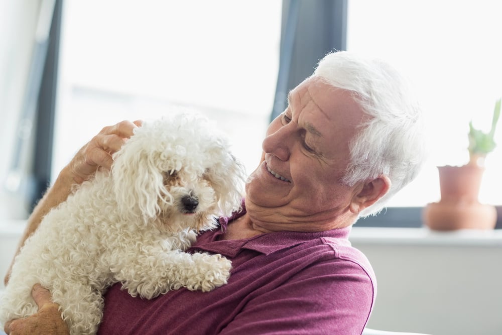 Touring Pet-Friendly Assisted Senior Care Services in Camby, IN: What To Ask